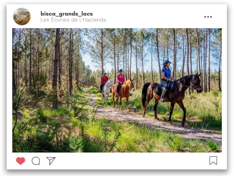 Balade à cheval dans la forêt des Landes à Parentis-en-Born