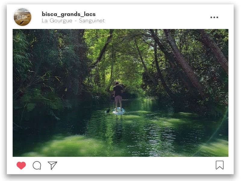 Ruisseau de la Gourgue à Sanguinet