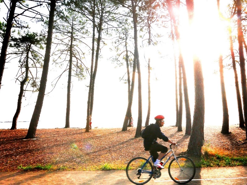 Vélo Bisca Grands Lacs 