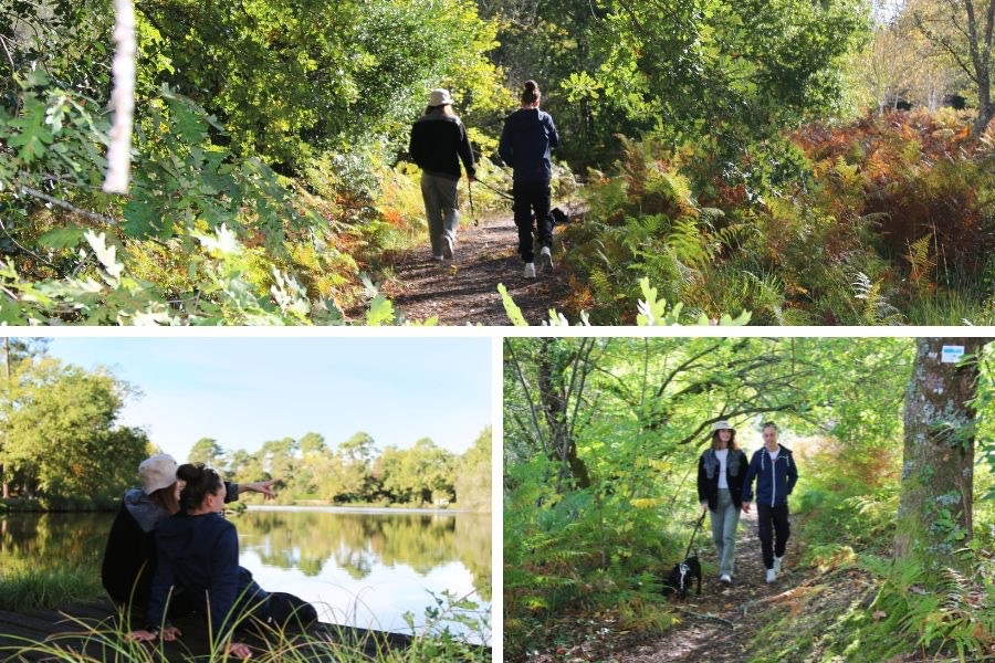 balade arboretum landes