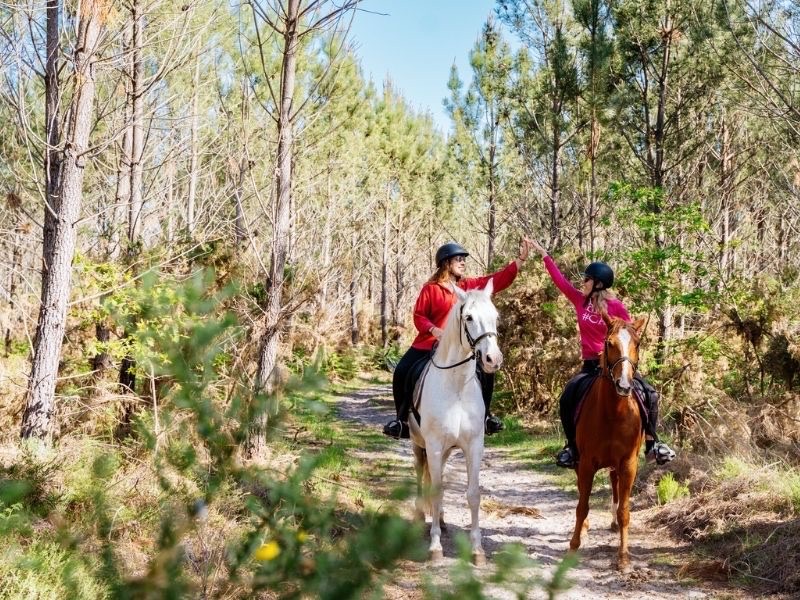 Balade à cheval en hiver dans la forêt des Landes