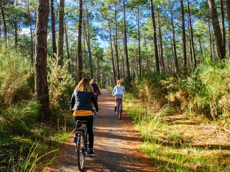 Balade en vélo dans la forêt des Landes à Biscarrosse