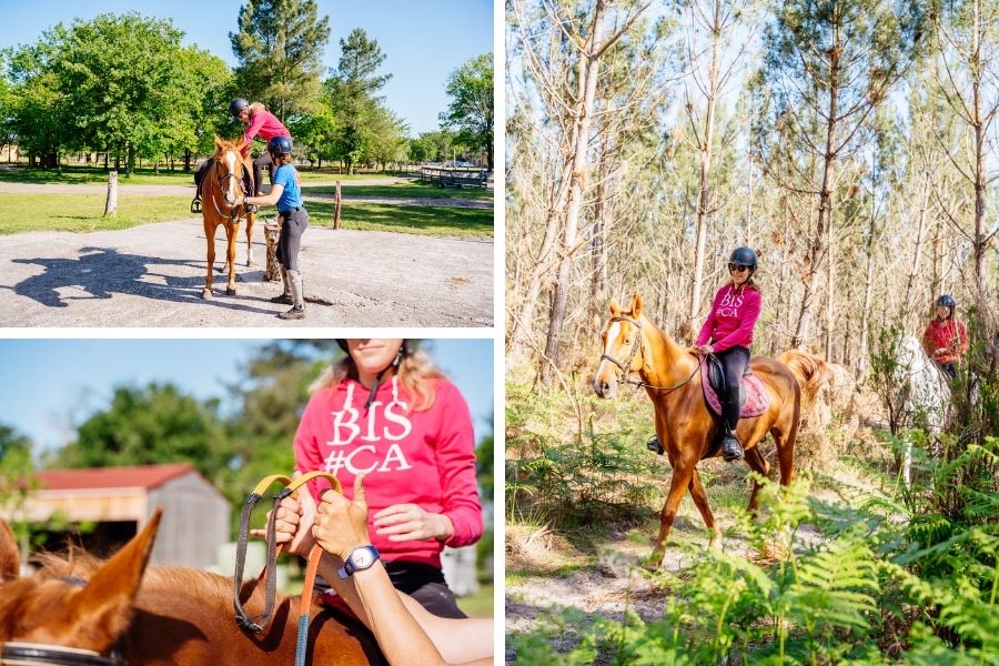 balade cheval foret landaise