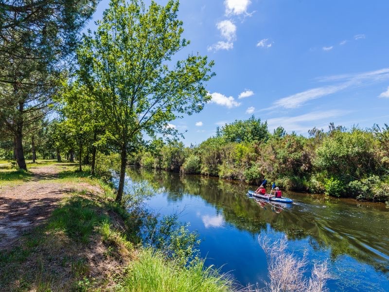 Pagayer sur le canal Transaquitain de Biscarrosse