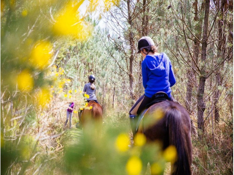 equitation nature