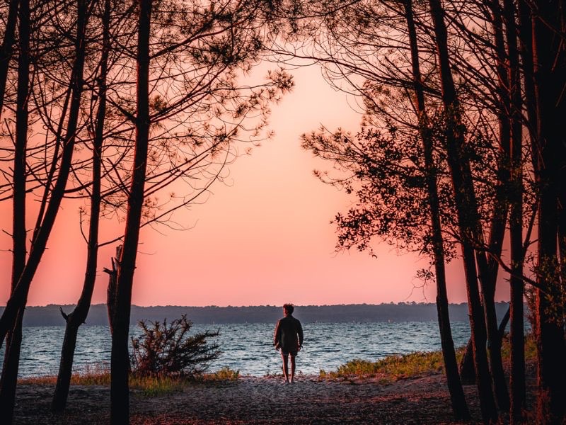 Coucher de soleil sur le Lac Nord, à Biscarrosse-Lac