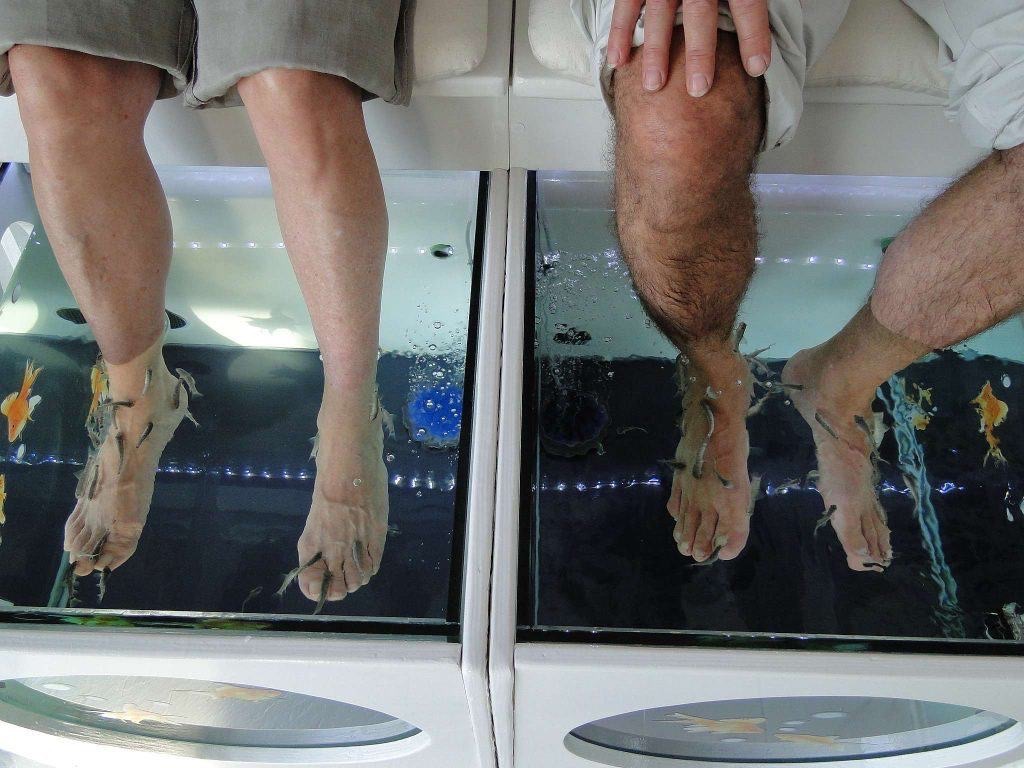 Massage des pieds avec le fish spa