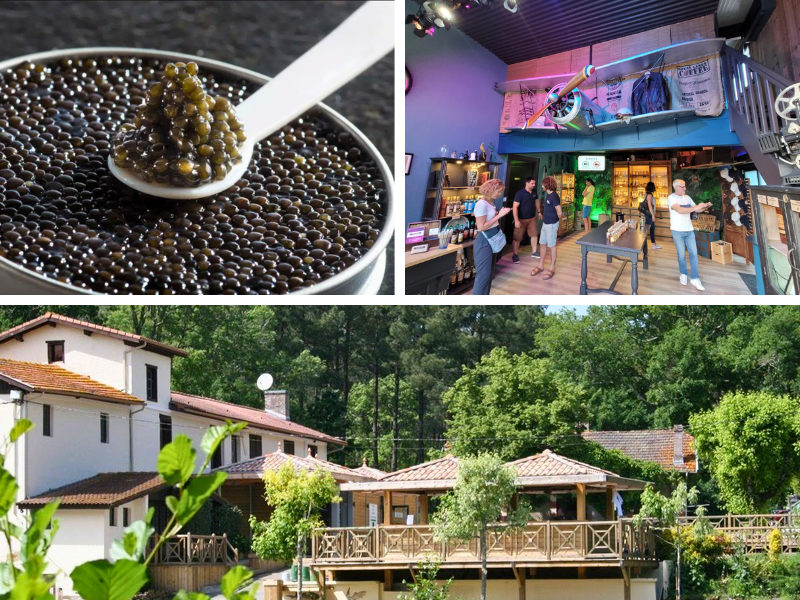 Une journée gourmande sur le Bassin d'Arcachon