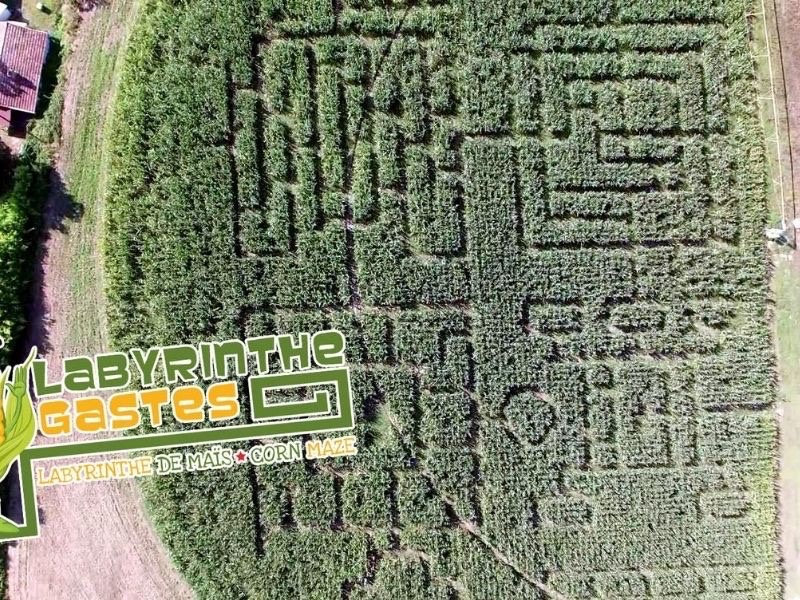 Labyrinthe de maïs Gastes