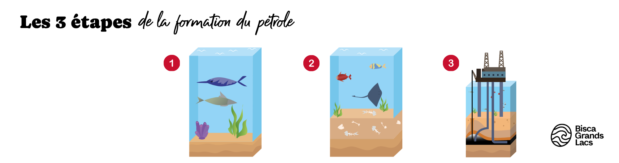 Les 3 étapes de la formation du pétrole