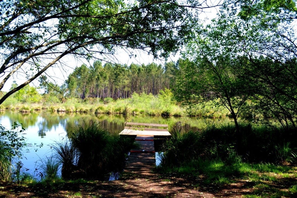 etang-ychoux-landes