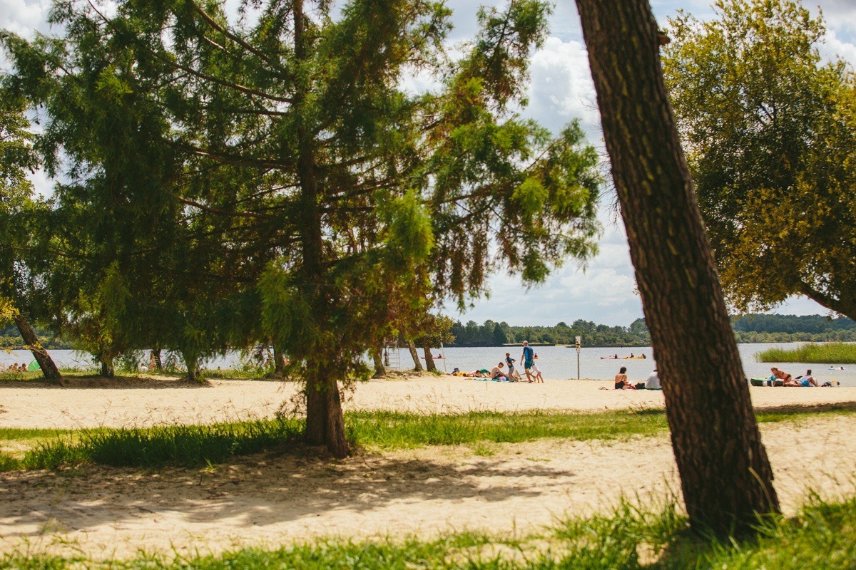 Le lac de Parentis