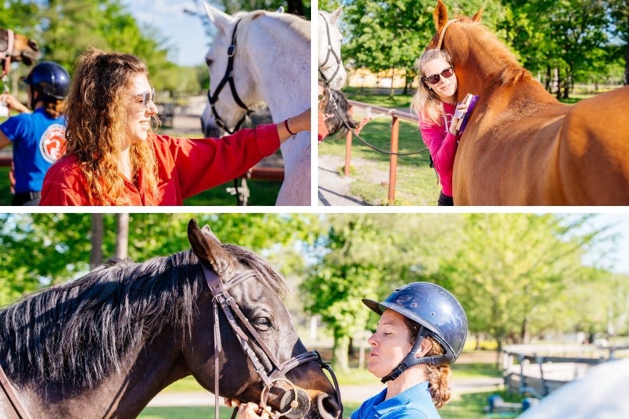 preparation chevaux