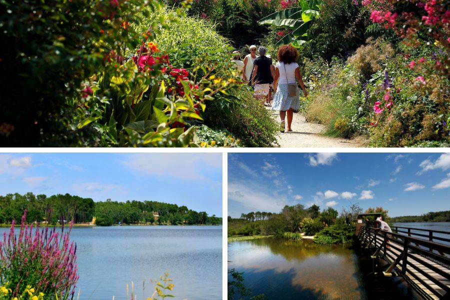 Promenade fleurie au bord du lac d'Aureilhan-Mimizan