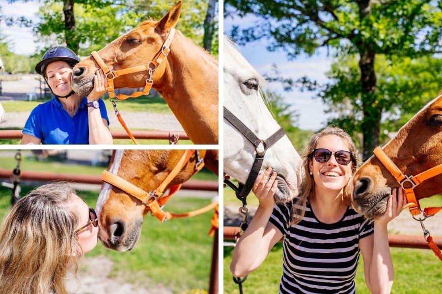 rencontre chevaux landes