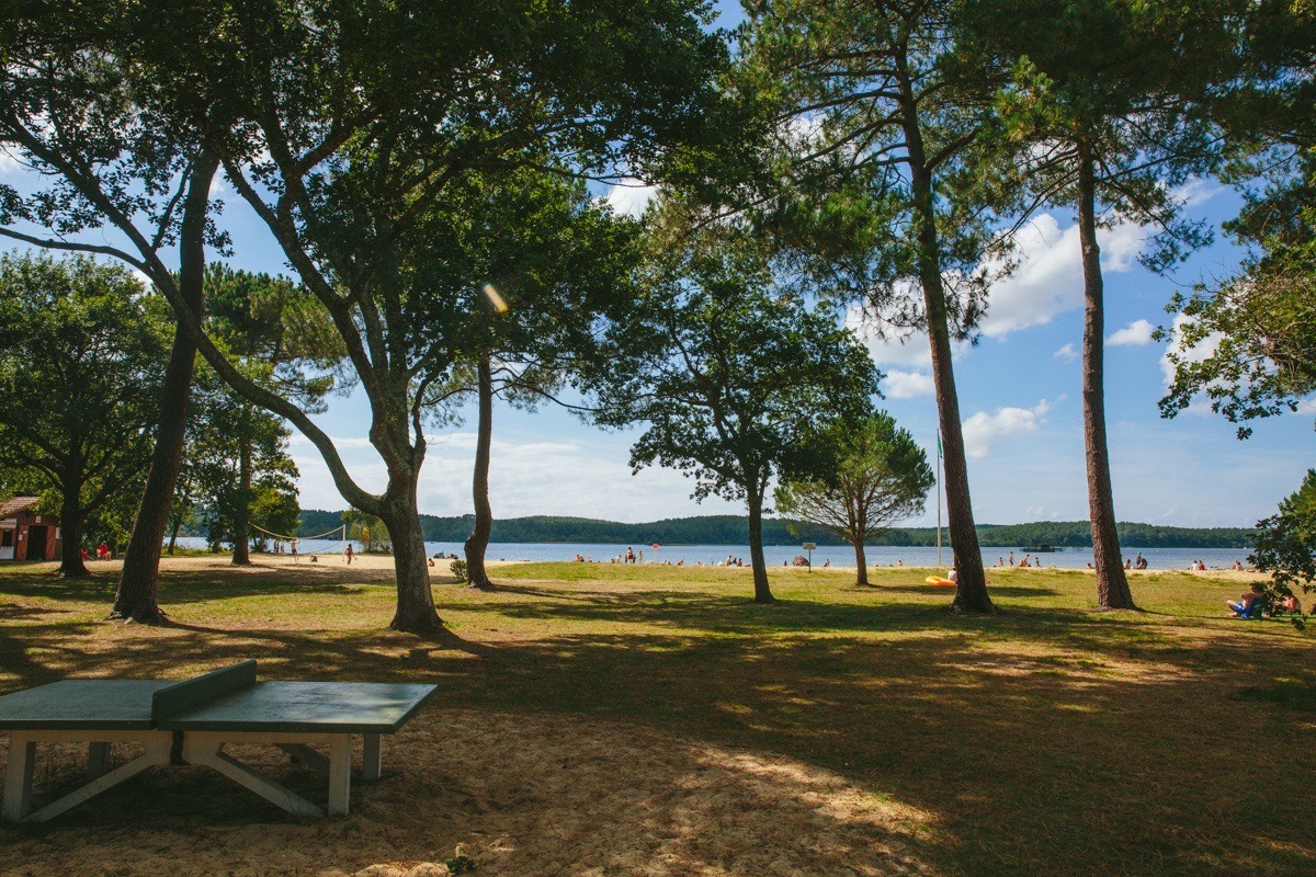 Le lac à Ste Eulalie en Born