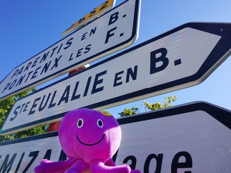 Petite peluche pieuvre devant le panneau de Sainte-Eulalie-en-Born