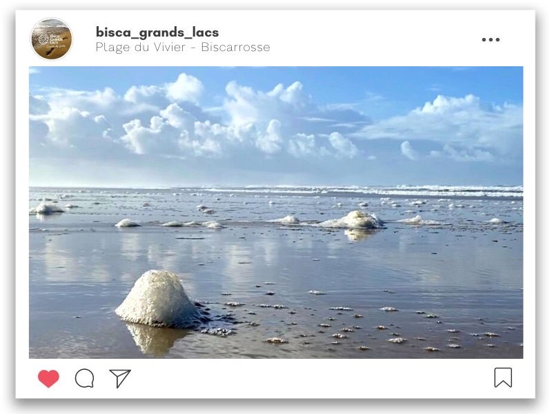 L'écume sur la plage de Biscarrosse