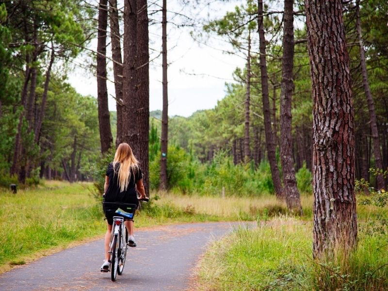 Vélo en forêt, Bisca Grands Lacs