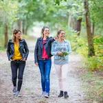 Balade en forêt Balade en forêt