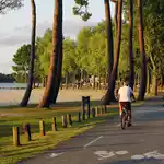 Vélo au bord du lac de Sanguinet