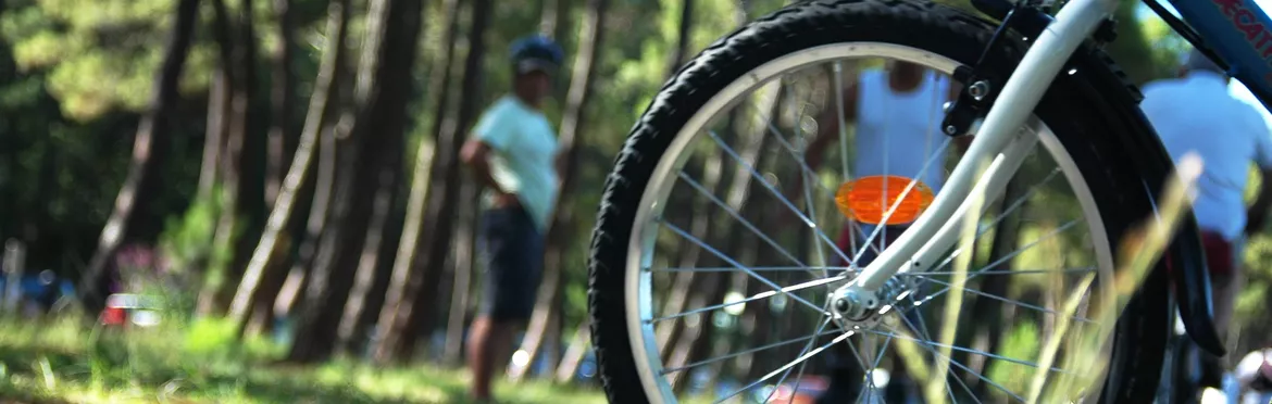 Randonnée vélo Balade à vélo