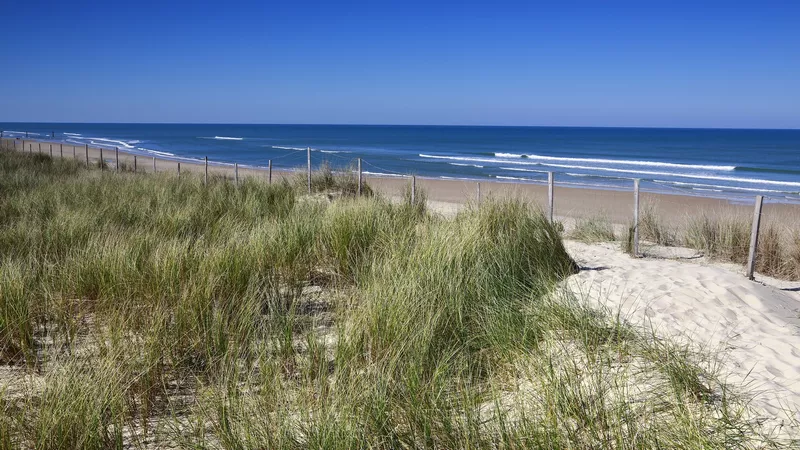 Plage et océan à Biscarrosse Plage et océan à Biscarrosse