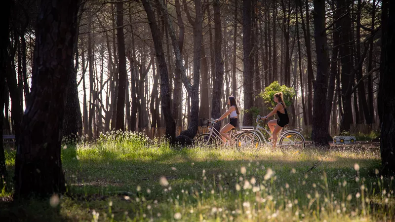 balade vélo dans les landes balade vélo dans les landes