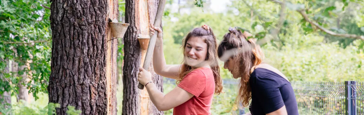 Test : Quel Landais êtes-vous ?