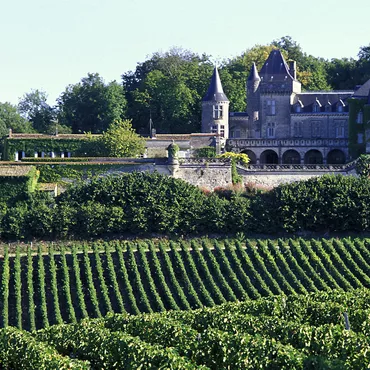 Le vignoble Bordelais