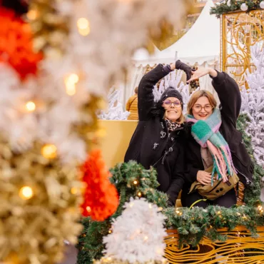 Marché de Noël de Biscarrosse et activités féériques : un Noël dans les Landes 🧑‍🎄