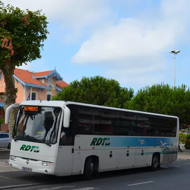 Ligne XLR N° 416