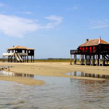 Le Bassin d'Arcachon