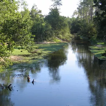 Courant de sainte eulalie dans les landes