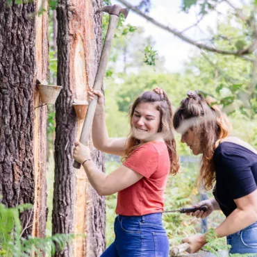 Test : Quel Landais êtes-vous ? Test : Quel Landais êtes-vous ?