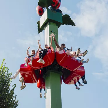 Parcs d'attractions & parcs de loisirs 