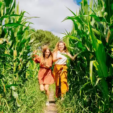 On a testé le labyrinthe de maïs dans les Landes