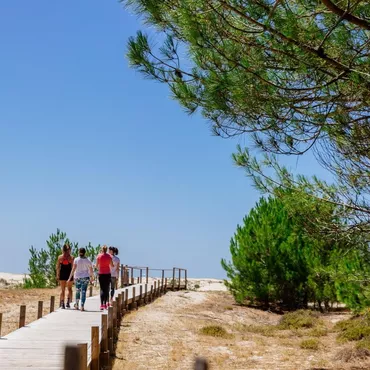 Le top des lieux à voir sur Biscarrosse et les Grands Lacs