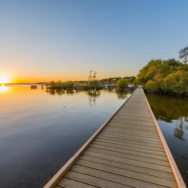 Bisca Grands Lacs, Concentré des Landes