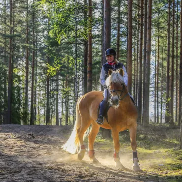 On foot, bike, horseback