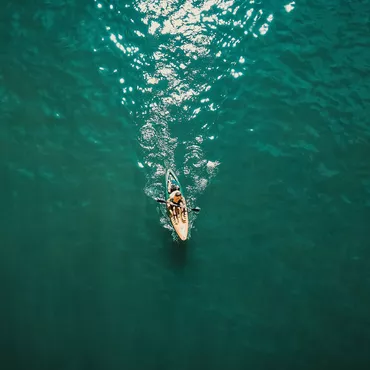 Surfez sur les vagues de l'Océan