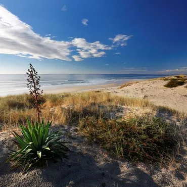 Plage du Vivier