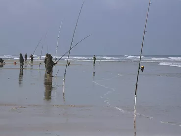 surfcasting