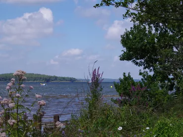 balade-nature-entre-lac-et-marais-©c.kwasniewski-2