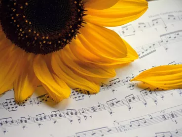 fete-musique