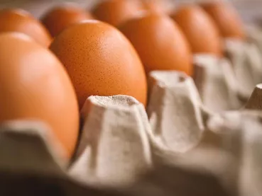 egg-7345934_1920