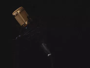 lincerta-microphone-2130806