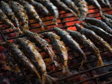 sardines-3492588_1920