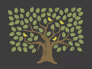 arbre