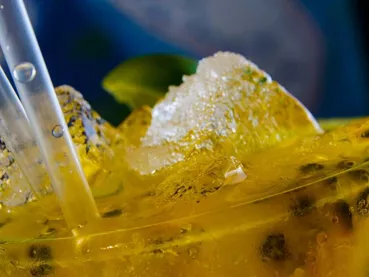 mojito